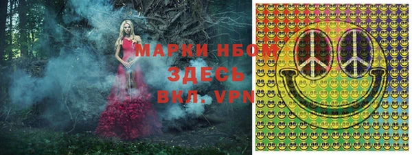 бошки Аркадак
