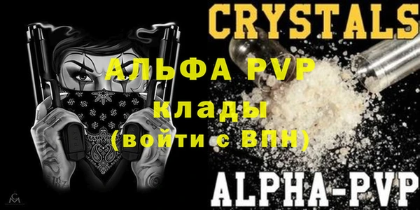 гашик Арсеньев