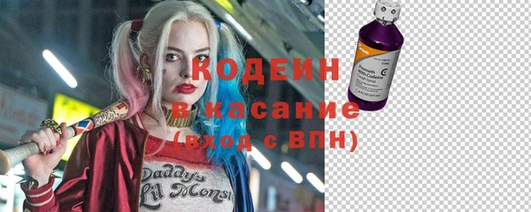 гашик Арсеньев