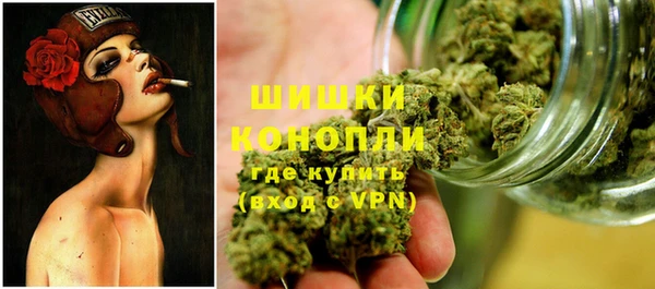 гашик Арсеньев