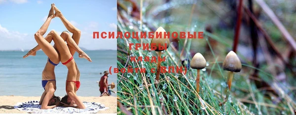 бошки Аркадак