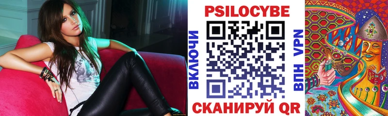Галлюциногенные грибы ЛСД Курганинск